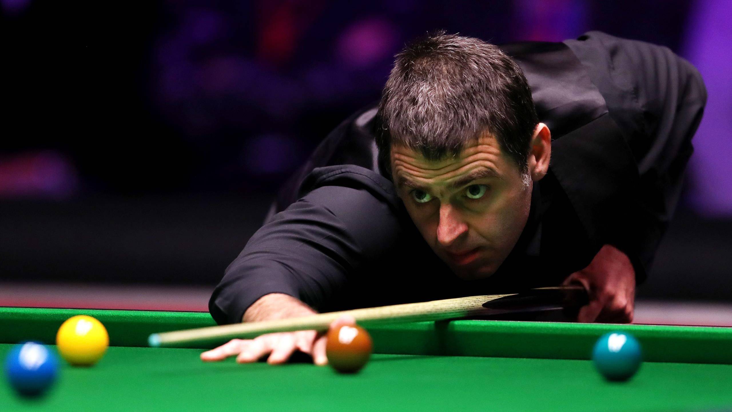 添了更多期 添了更多期