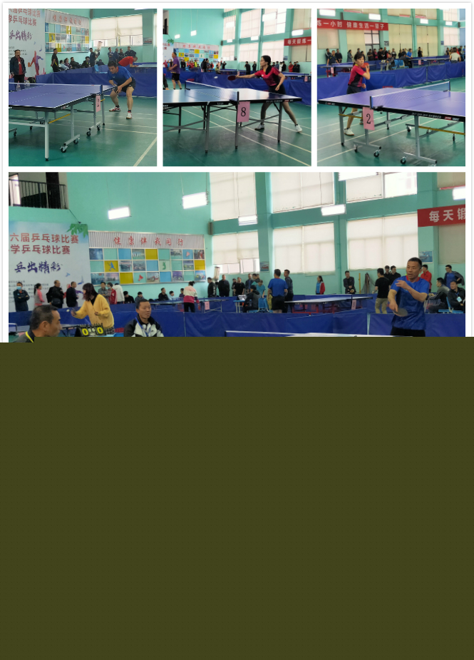 突尼斯网球 突尼斯网球