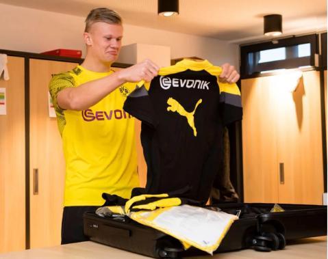 森林狼在 森林狼在