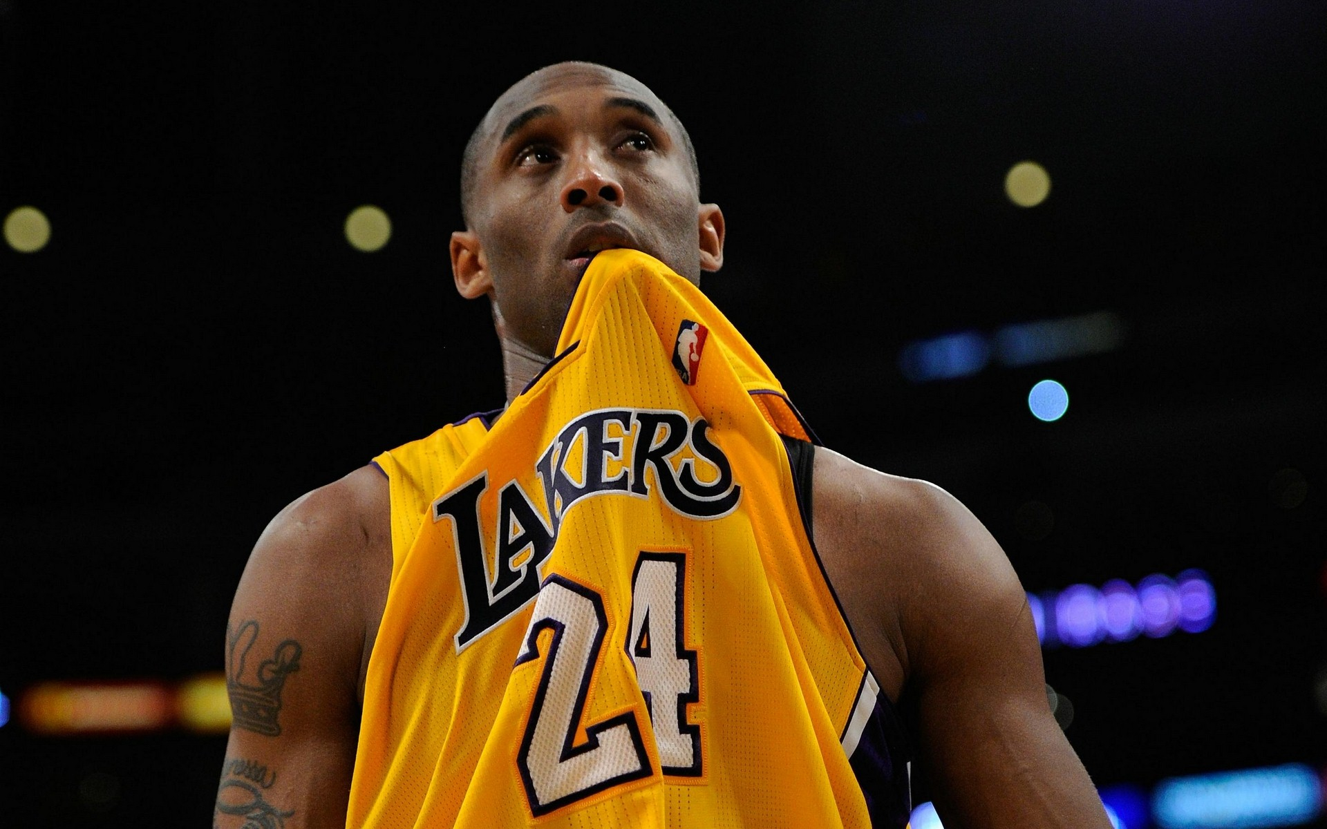 趣的放大器 趣的放大器