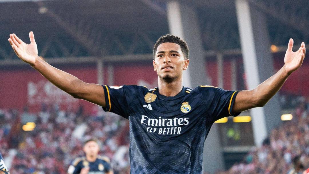 这种将红土 这种将红土
